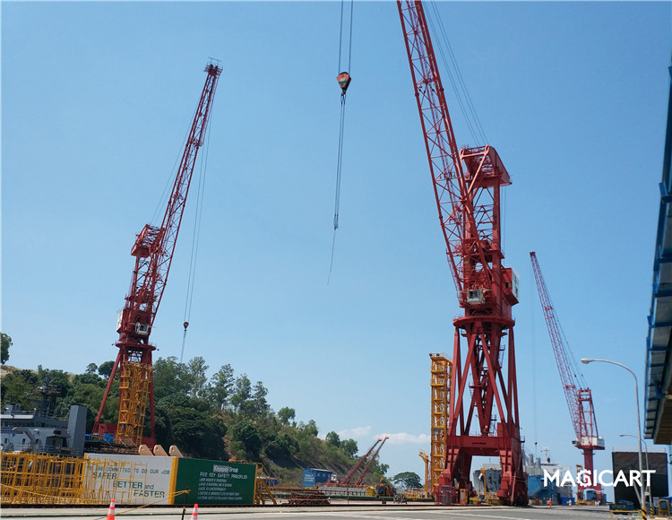 Level-Luffing-Portal-Crane-10