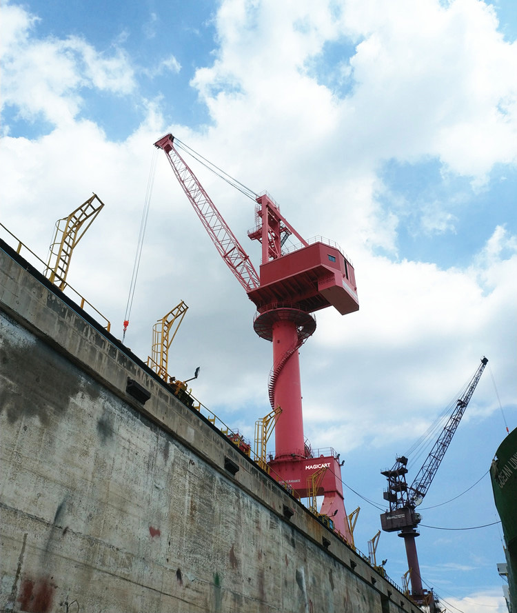 Level-Luffing-Portal-Crane-11