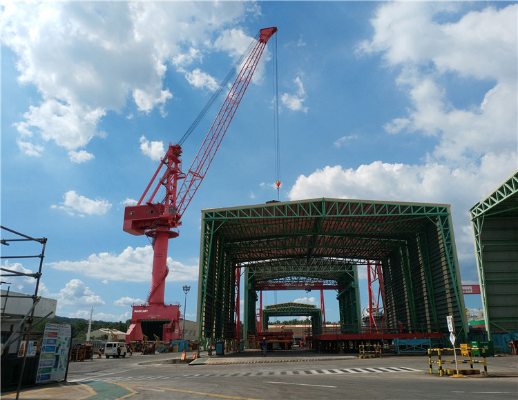 Level-Luffing-Portal-Crane-12